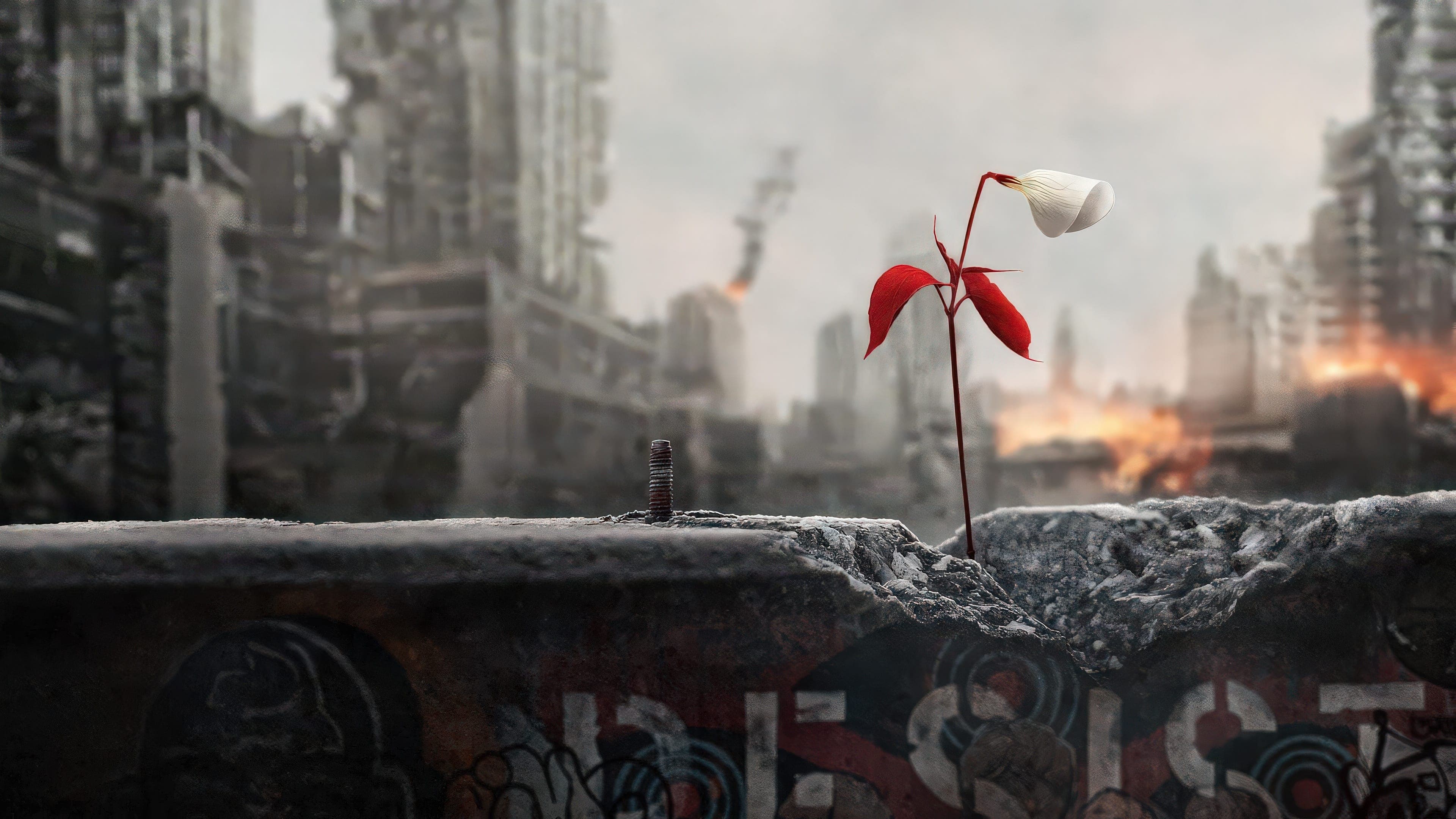 El cuento de la criada Pelisflix