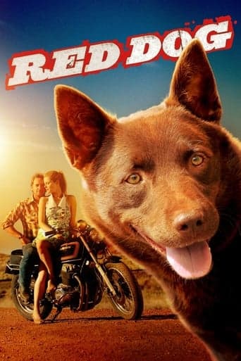Red Dog, una historia de lealtad Pelisflix